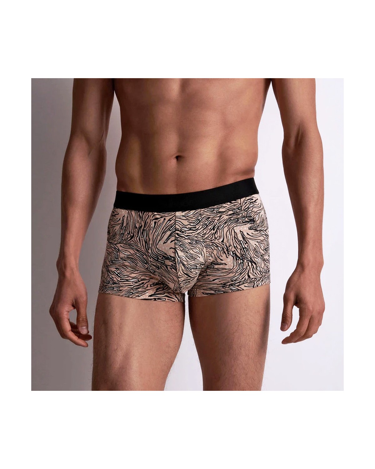 Boxer_Trunk_Homme_Feline_Aubade_Lingerie