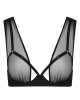 soutien-gorge-ouvert-nuit-fauve-maison-close